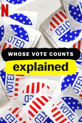 Portrait for Whose Vote Counts, Explained - Miniseries