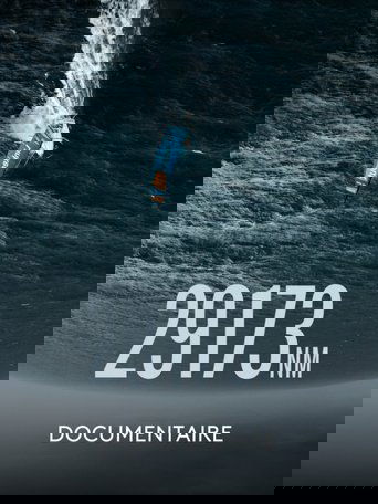 Poster of 29 173 NM