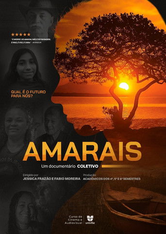Poster of Amarais