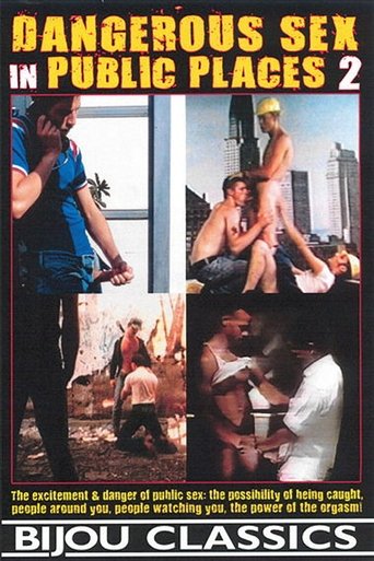Poster of Dangerous Sex in Public Places 2