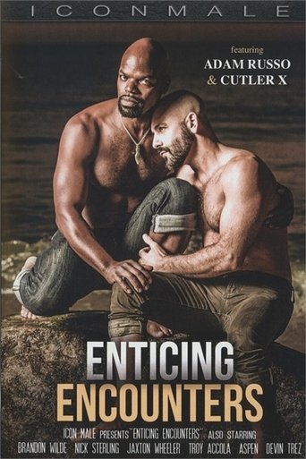 Enticing Encounters Poster of Enticing Encounters