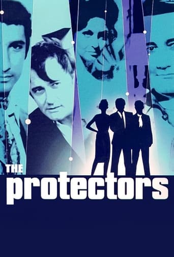 Poster of The Protectors