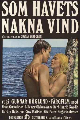 Poster of One Swedish Summer