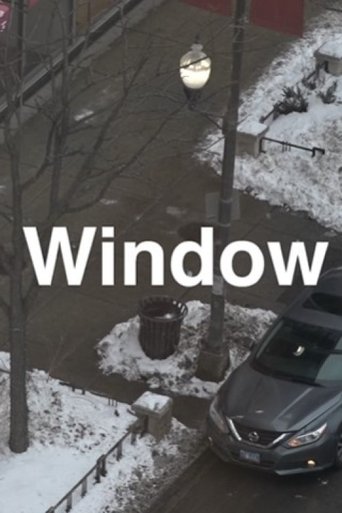 Poster of Window