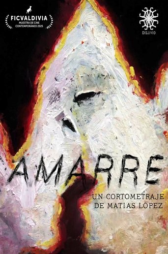 Poster of Amarre