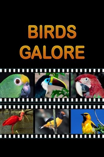 Birds Galore Poster of Birds Galore
