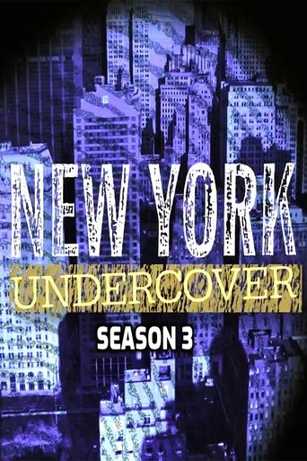 Portrait for New York Undercover - Season 3