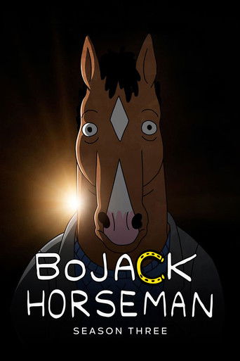 Portrait for BoJack Horseman - Season 3