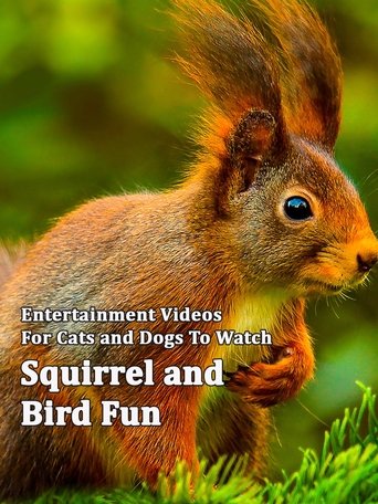 Poster of Squirrel and Bird Fun