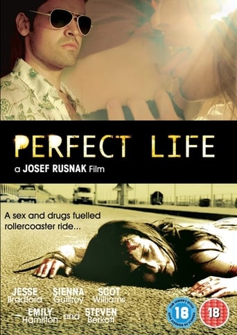 Poster of Perfect Life