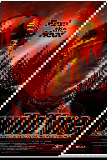 Poster of Wildfire: Feel the Heat