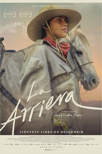 Poster of The Muleteer
