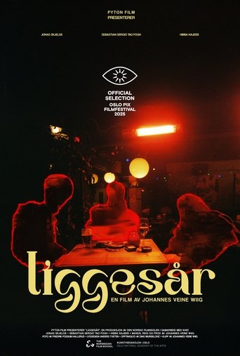 Poster of Liggesår