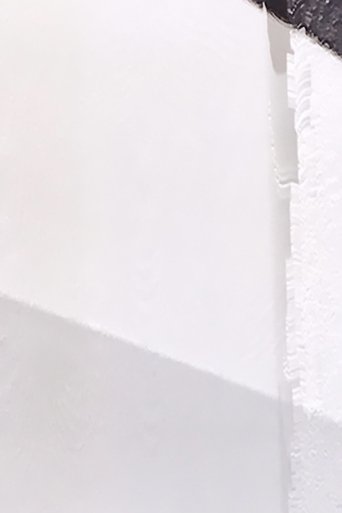 Poster of A WHITE ROOM 1
