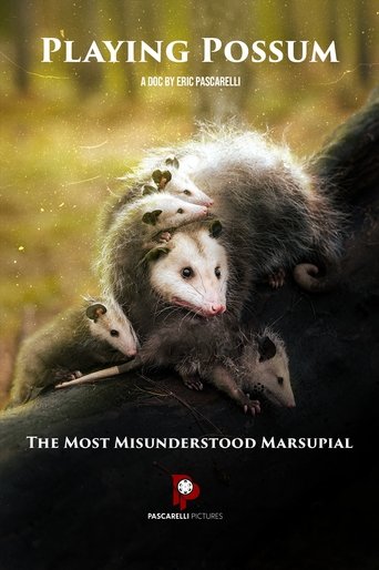 Playing Possum Poster of Playing Possum