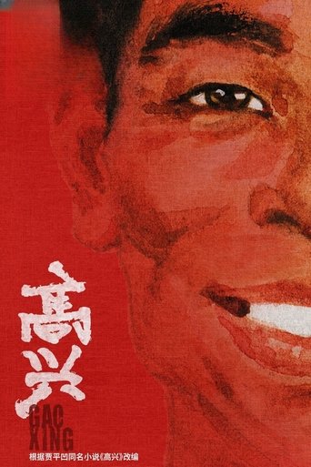 Poster of 高兴