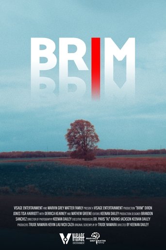 Poster of Brim
