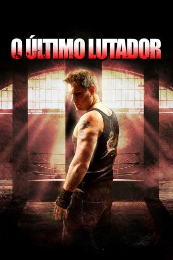 Poster of The Last Fighter