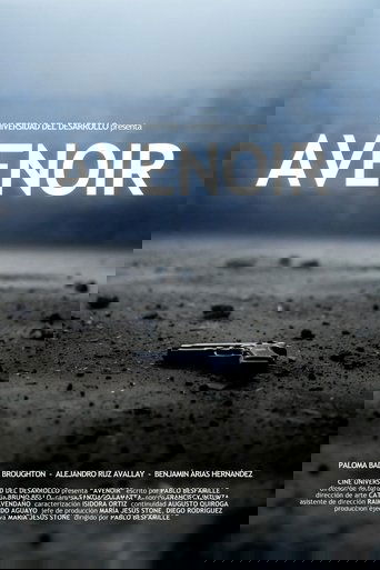 Poster of Avenoir