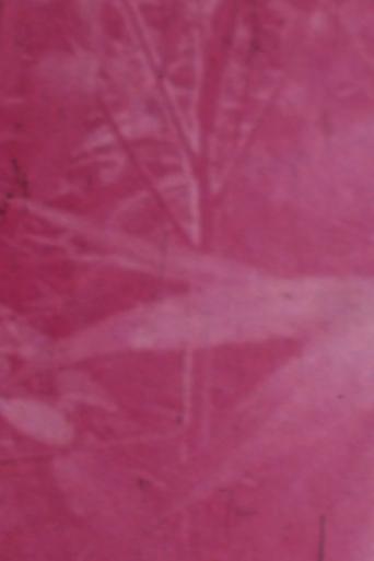 Ornamentals Poster of Ornamentals