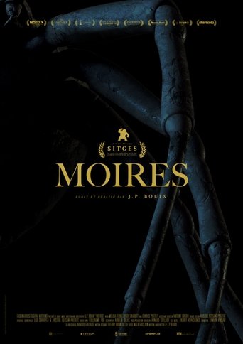 Moires Poster of Moires