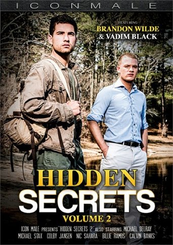 Poster of Hidden Secrets 2