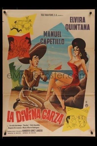 Poster of La divina garza