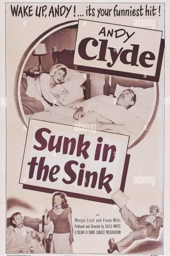 Poster of Sunk in the Sink