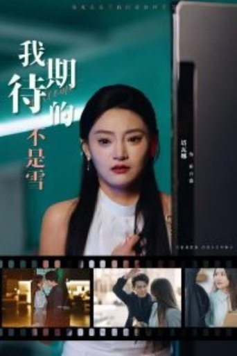 Poster of 我期待的不是雪
