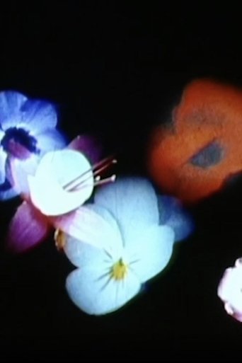 Poster of Bloemschikken