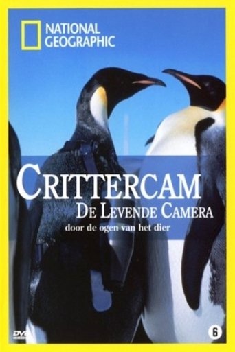 Crittercam Poster of Crittercam