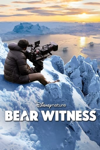 Poster of Bear Witness