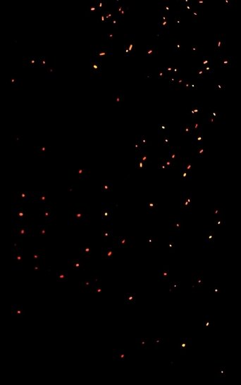 Poster of Magma (C)