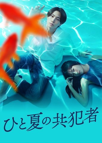 Poster of A Summer's Accomplice