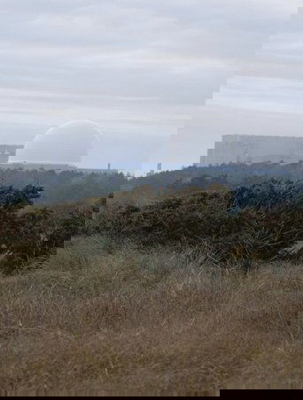 Poster of Immaterial Terrain