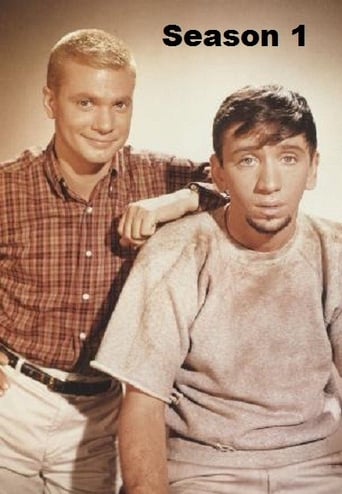 Portrait for The Many Loves of Dobie Gillis - Season 1