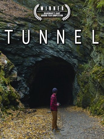 Poster of Tunnel