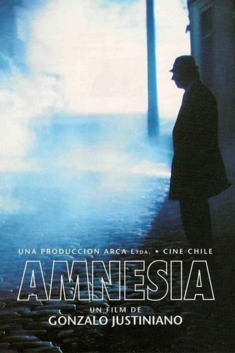 Poster of Amnesia