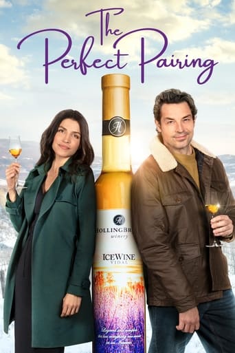 Poster of The Perfect Pairing
