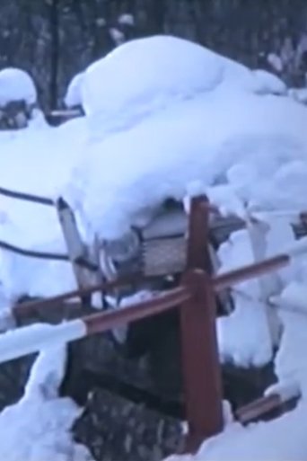 Terra 0/0 Poster of Terra 0/0