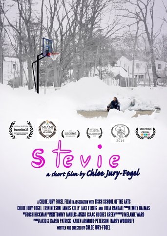 Stevie Poster of Stevie
