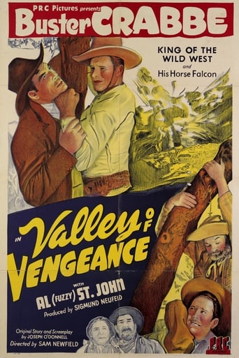 Poster of Valley Of Vengeance