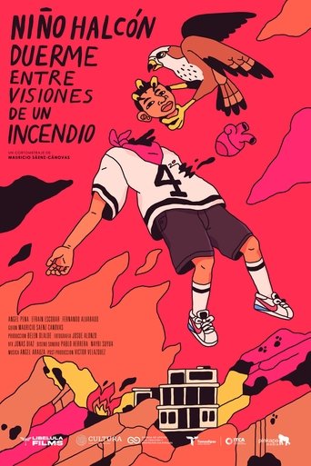 Poster of Hawk Boy Sleeps Amidst Visions of a Fire