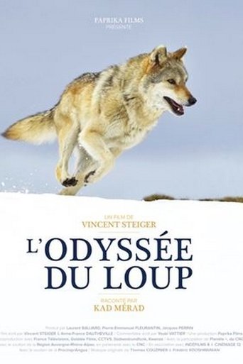 Poster of L'odyssée du loup : secrets de tournage