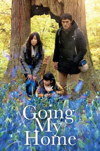 Poster of Going My Home