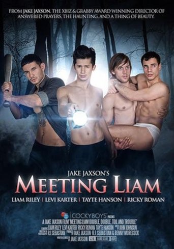 Meeting Liam Poster of Meeting Liam