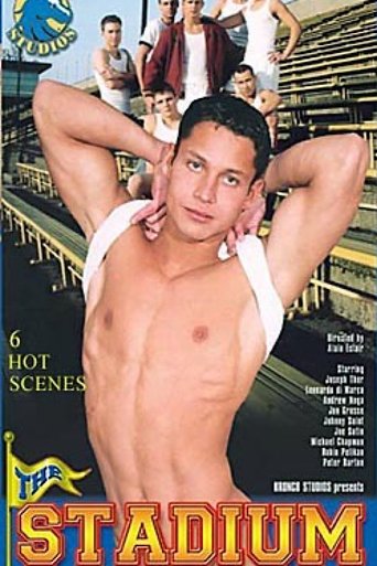 The Stadium Poster of The Stadium