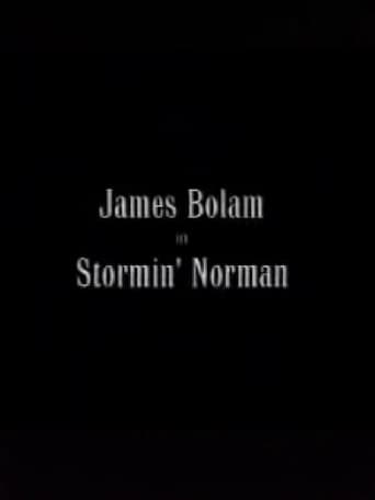 Poster of Stormin' Norman