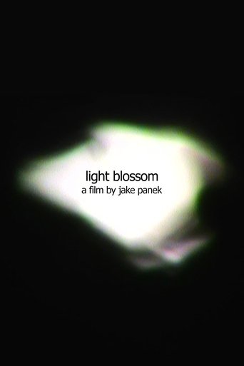 light blossom Poster of light blossom