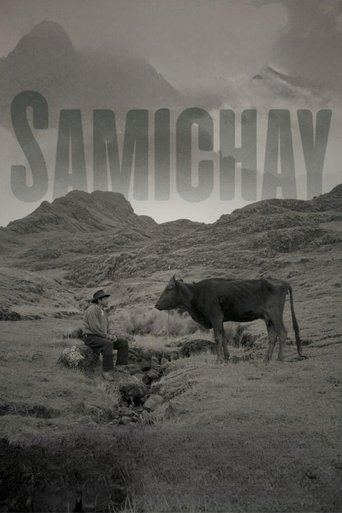 Samichay Poster of Samichay